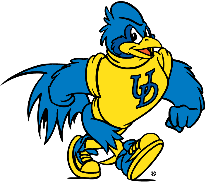 delaware blue hens 1993-pres mascot Logo v5 iron on transfers for T-shirts